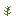 /gitea/minetest/minetest_game/raw/commit/fe6fb917f15dbcfdb5ea65db6bb94ca7fe5580fc/mods/default/textures/default_acacia_bush_sapling.png