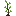 /gitea/minetest/minetest_game/raw/commit/fe6fb917f15dbcfdb5ea65db6bb94ca7fe5580fc/mods/default/textures/default_aspen_sapling.png