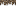 /gitea/minetest/minetest_game/raw/commit/fe6fb917f15dbcfdb5ea65db6bb94ca7fe5580fc/mods/default/textures/default_coniferous_litter_side.png