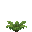 /gitea/minetest/minetest_game/raw/commit/fe6fb917f15dbcfdb5ea65db6bb94ca7fe5580fc/mods/default/textures/default_fern_2.png