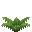 /gitea/minetest/minetest_game/raw/commit/fe6fb917f15dbcfdb5ea65db6bb94ca7fe5580fc/mods/default/textures/default_fern_3.png