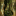 /gitea/minetest/minetest_game/raw/commit/fe6fb917f15dbcfdb5ea65db6bb94ca7fe5580fc/mods/default/textures/default_jungletree.png