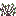 /gitea/nalc/nalc_game/raw/branch/experimental/mods/farming/textures/farming_cotton_wild.png