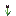 /gitea/nalc/nalc_game/raw/commit/eac4795326fc2e883cc2346b44a4a6ed15b53224/mods/flowers/textures/flowers_tulip_black.png