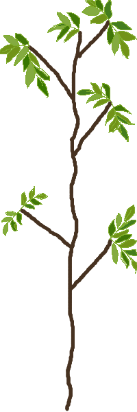 /gitea/nalc/server-nalc/raw/commit/c5b58ecbb7b4b2943b5a075ab8dfa9046be387ca/mods/plantlife_modpack/youngtrees/textures/unused/sapling.png