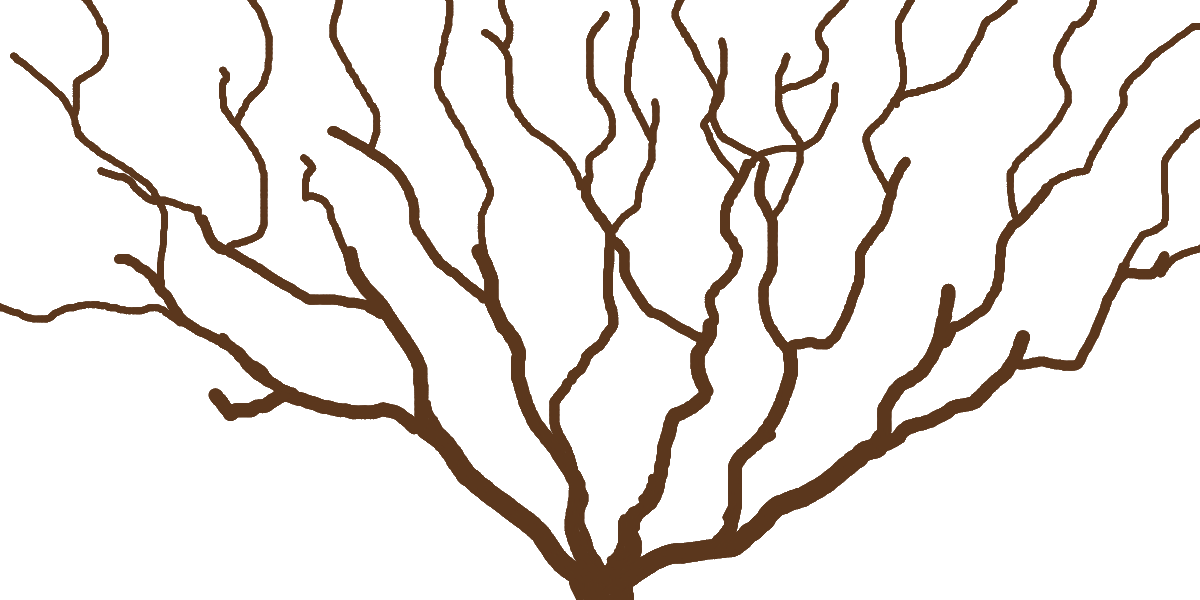 /gitea/nalc/server-nalc/raw/commit/c92f1facb26d30d520bd9fc3b895ce35440dab2a/mods/plantlife_modpack/bushes/textures/old%20&%20unused/BlockBranch1.png